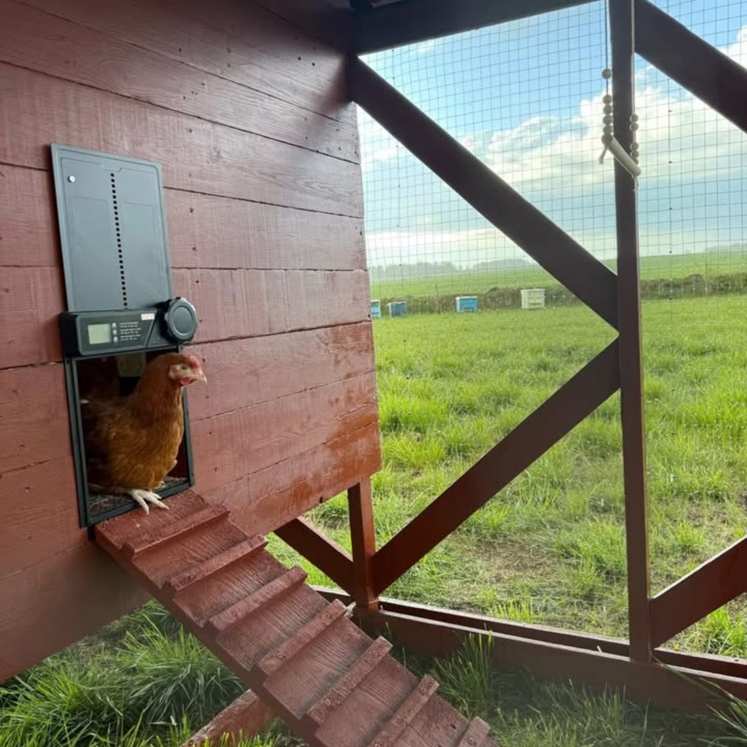 Smart Automatic Chicken Coop Door