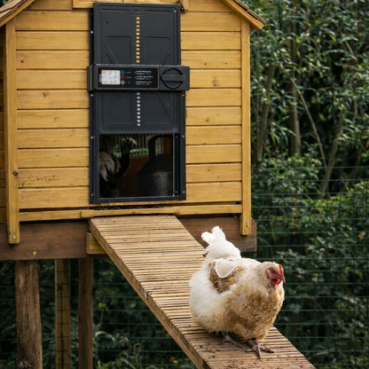 Smart Automatic Chicken Coop Door