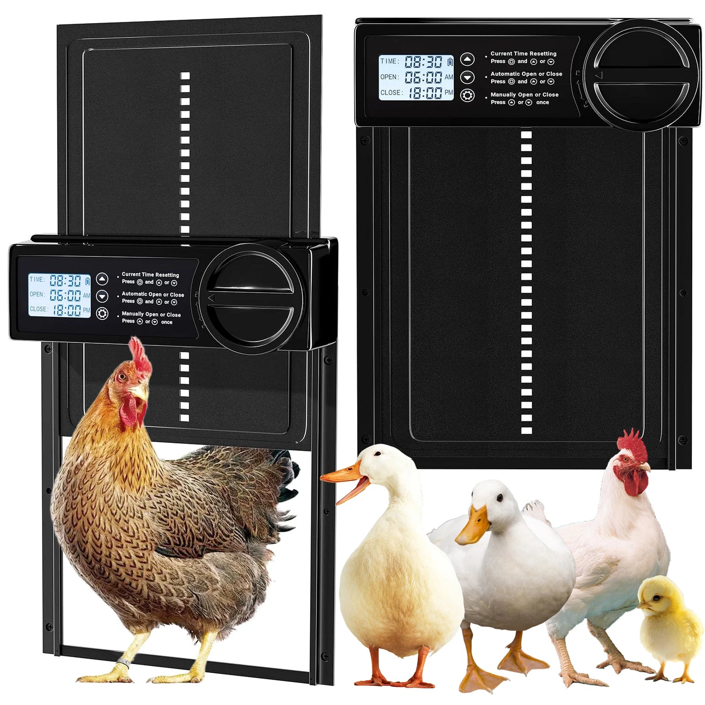 Smart Automatic Chicken Coop Door